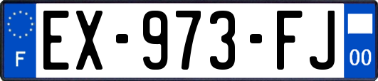 EX-973-FJ