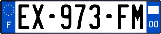 EX-973-FM