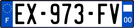 EX-973-FV