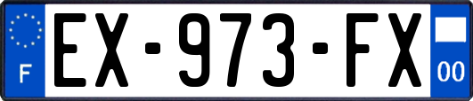 EX-973-FX