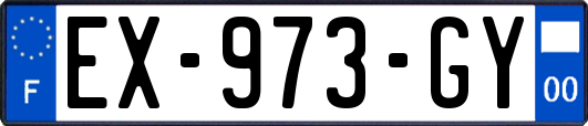 EX-973-GY