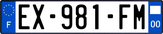 EX-981-FM
