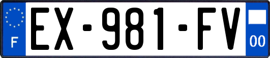EX-981-FV