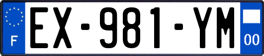 EX-981-YM