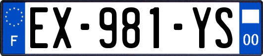 EX-981-YS