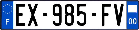 EX-985-FV