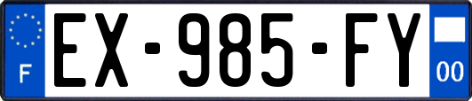 EX-985-FY