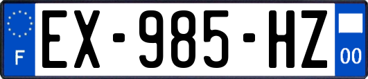 EX-985-HZ