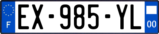 EX-985-YL