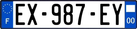 EX-987-EY