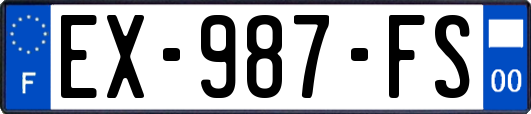 EX-987-FS