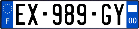 EX-989-GY