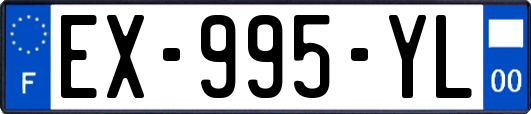 EX-995-YL