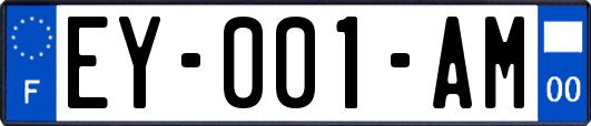 EY-001-AM