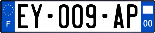 EY-009-AP