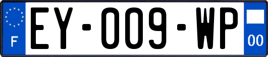 EY-009-WP