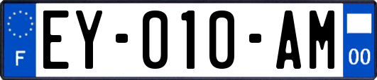 EY-010-AM