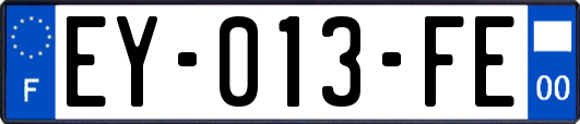 EY-013-FE