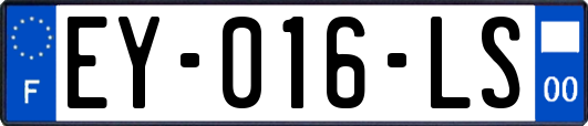 EY-016-LS
