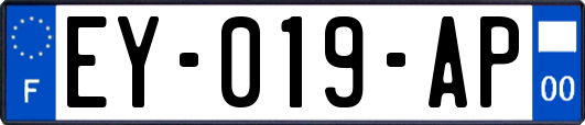 EY-019-AP