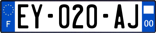 EY-020-AJ