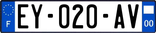 EY-020-AV