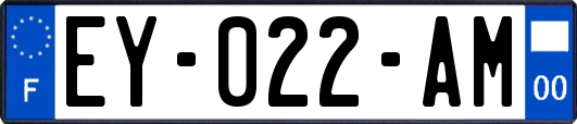 EY-022-AM