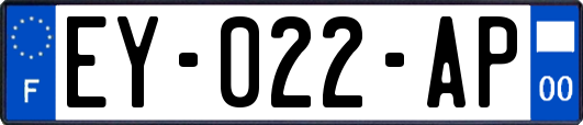 EY-022-AP