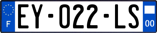 EY-022-LS