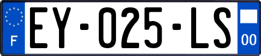 EY-025-LS