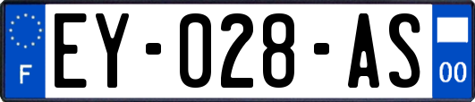 EY-028-AS