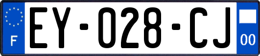 EY-028-CJ