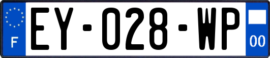 EY-028-WP