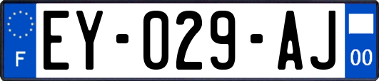 EY-029-AJ