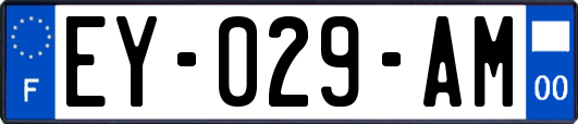 EY-029-AM