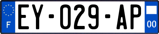 EY-029-AP