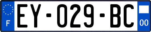 EY-029-BC