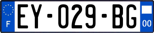 EY-029-BG