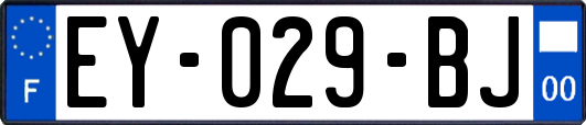 EY-029-BJ