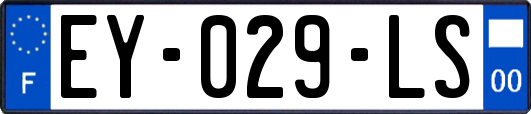 EY-029-LS