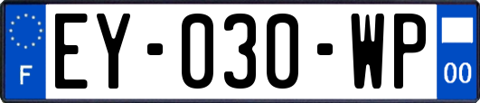 EY-030-WP