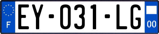 EY-031-LG