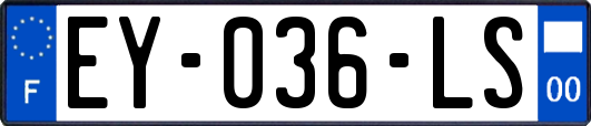 EY-036-LS
