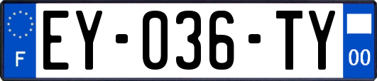 EY-036-TY