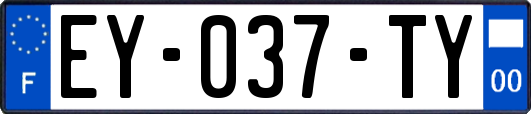 EY-037-TY