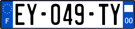 EY-049-TY