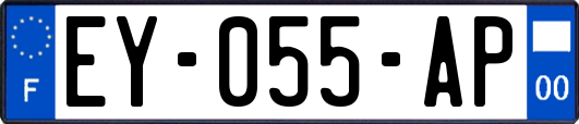 EY-055-AP