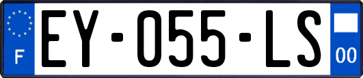 EY-055-LS
