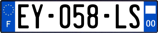 EY-058-LS