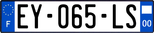 EY-065-LS